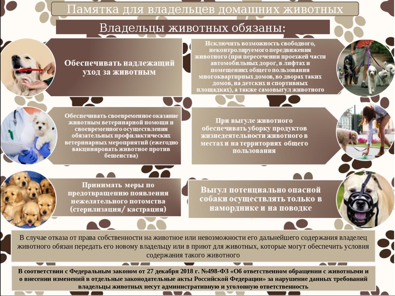 Памятка для владельцев домашних животных.